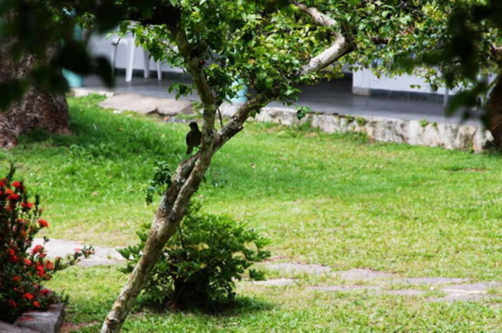 Pousada Sitio Paraiso Itacaré Buitenkant foto